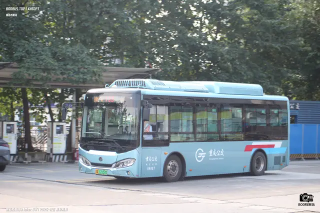 800BUS