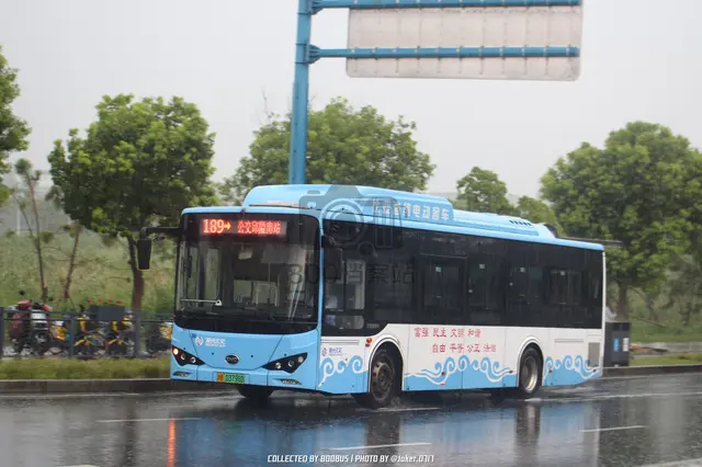 浙B 03798D