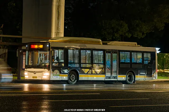 川A P3155