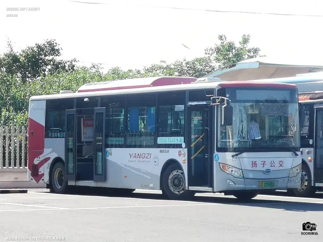 苏A 03888D