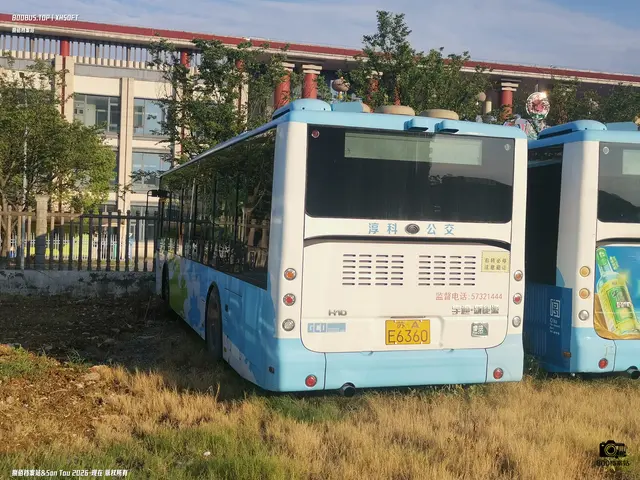 苏A E6360