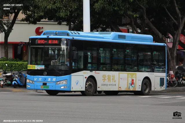 闽D 02531D