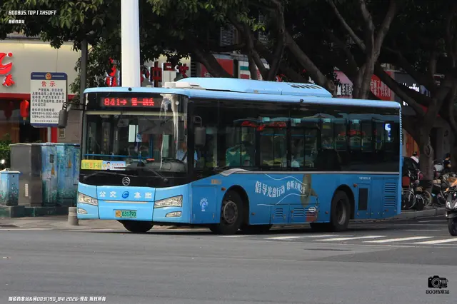 闽D 03179D