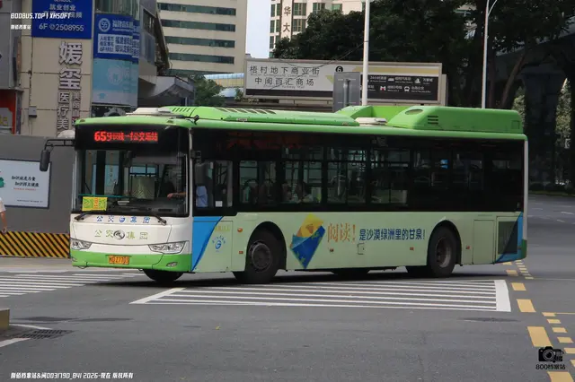 800BUS