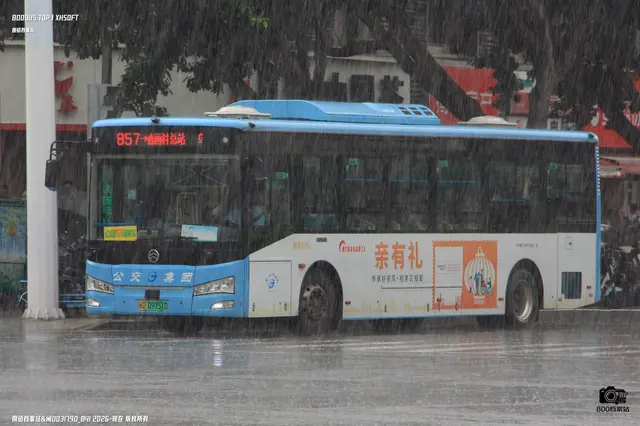 800BUS