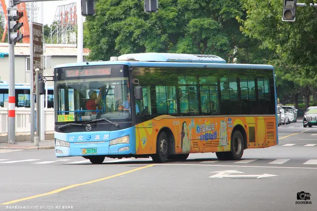 闽D 05773D