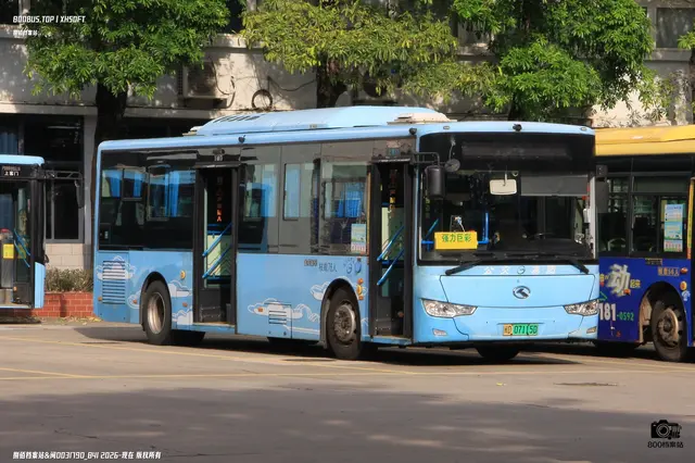 闽D 07115D