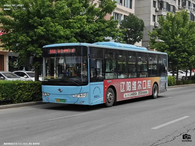 辽K 07053D