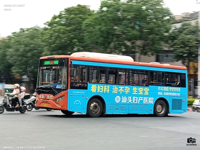 粤D 17761