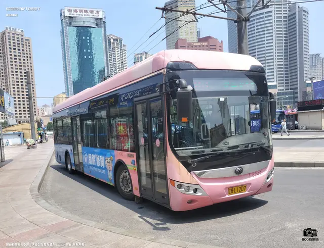 辽B L1207