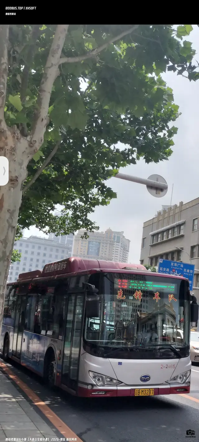 辽B M3287