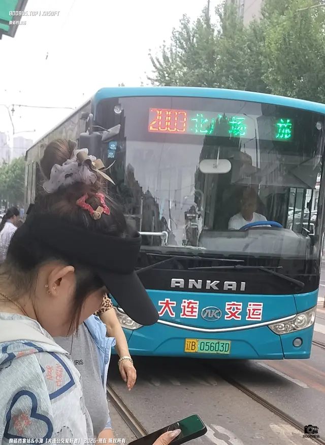 辽B 05603D