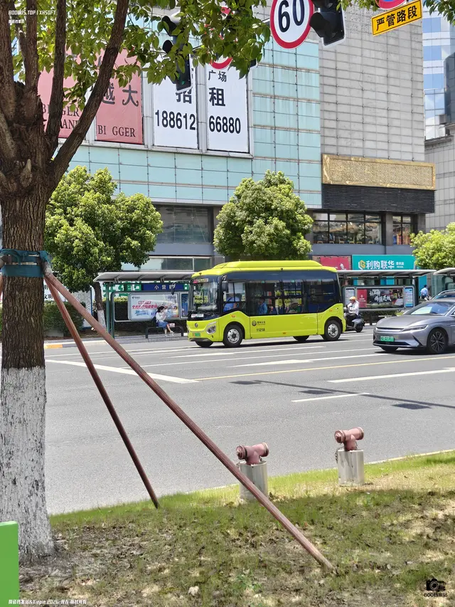 苏D  08015D
