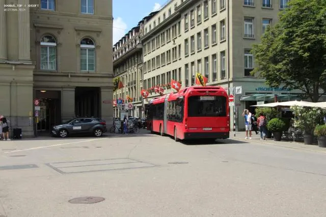 800BUS