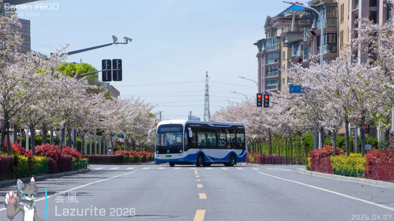 Bus Archive