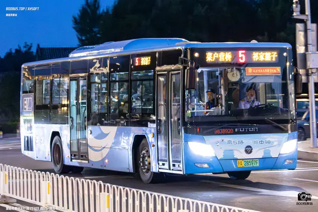 800BUS