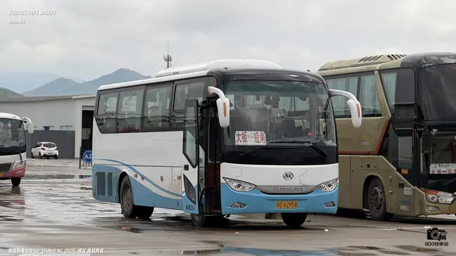 蒙D 82958