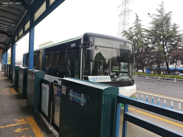 800BUS