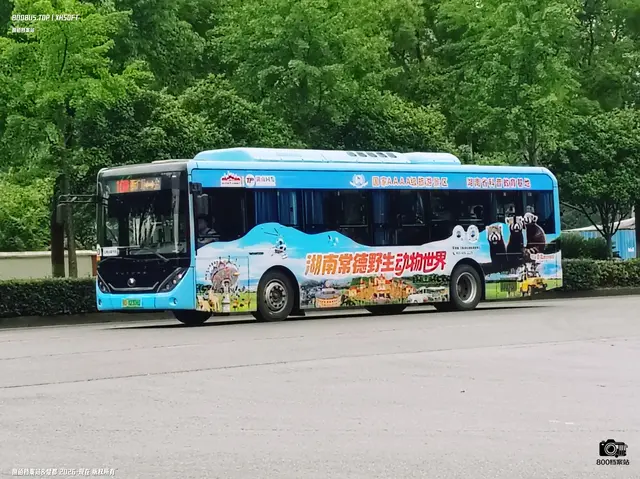鄂D 12308D