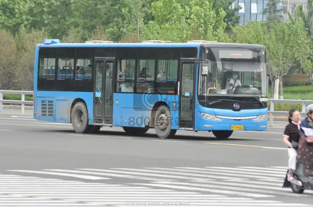 鲁F 69662