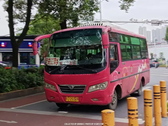 赣J 25369