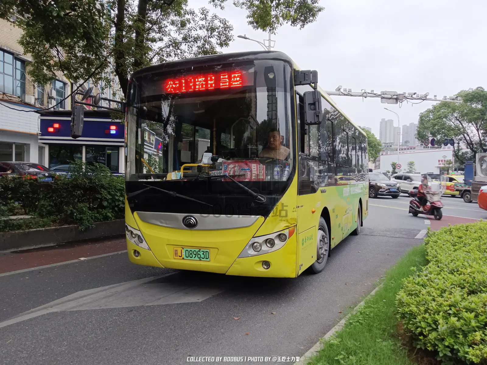 Bus Archive