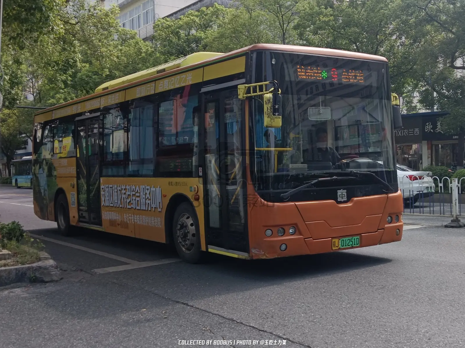 Bus Archive