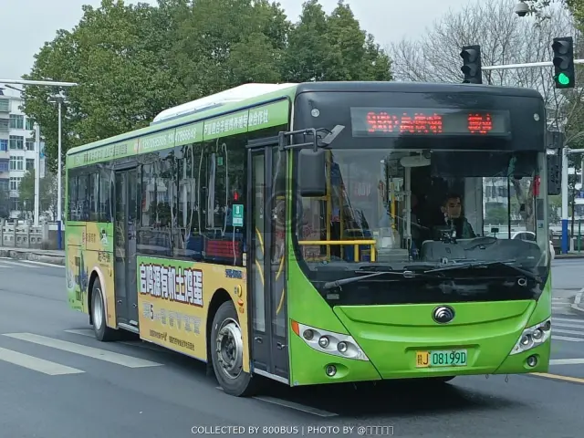 赣J 08199D