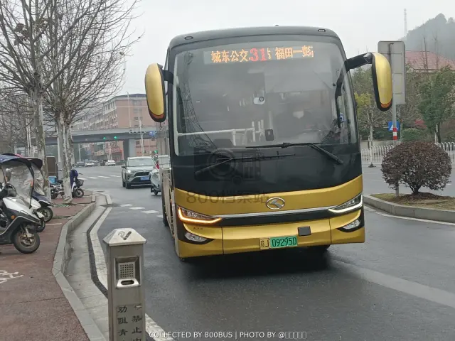 赣J 09295D