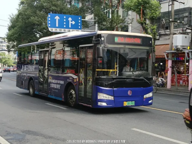 赣J 08196D