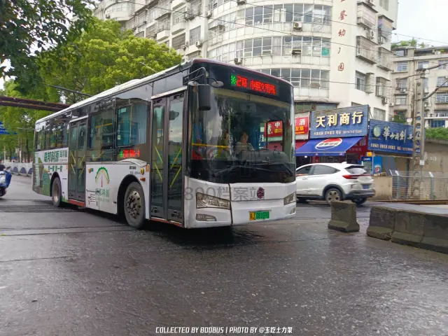 赣J 08169D