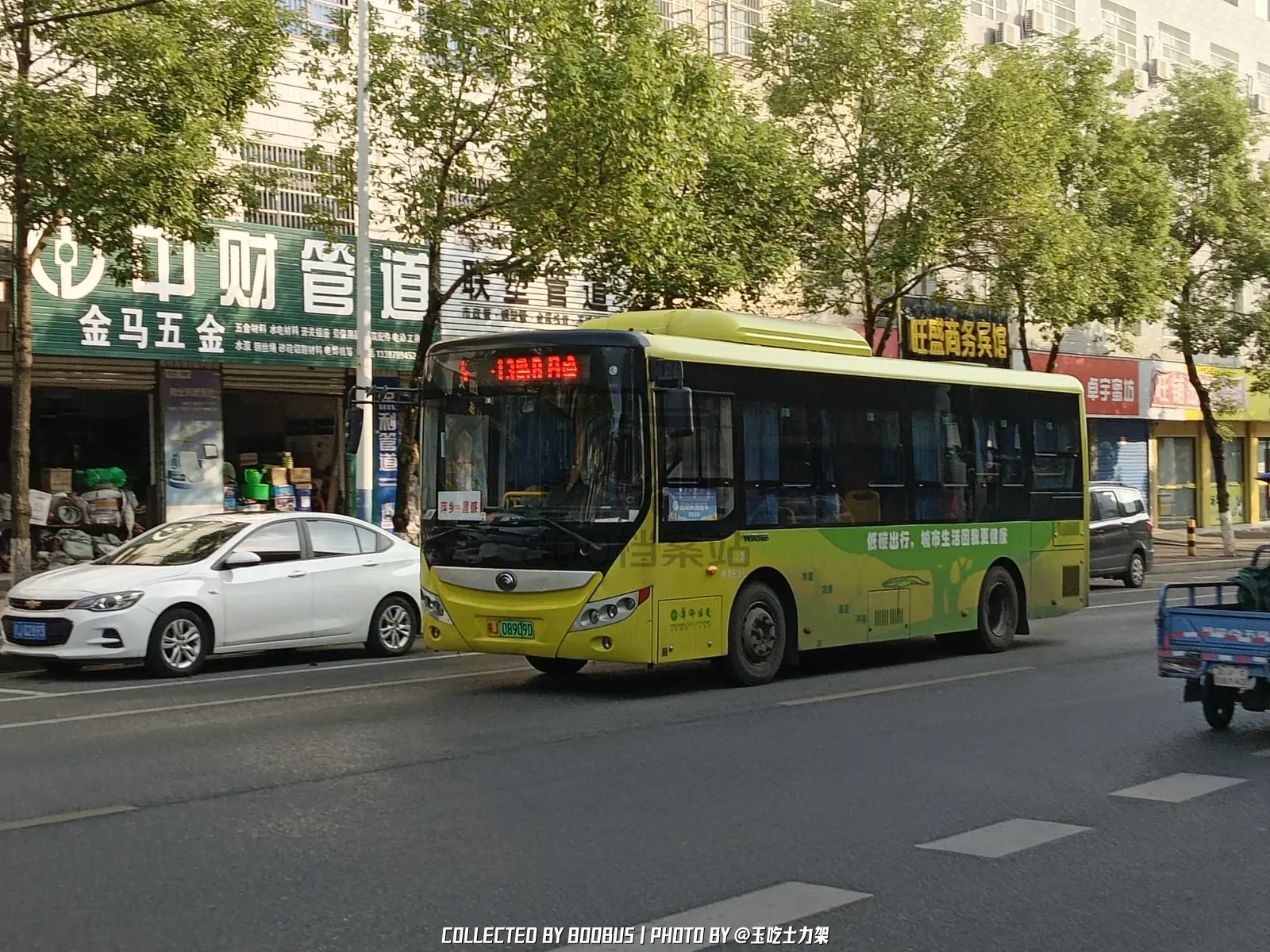 Bus Archive