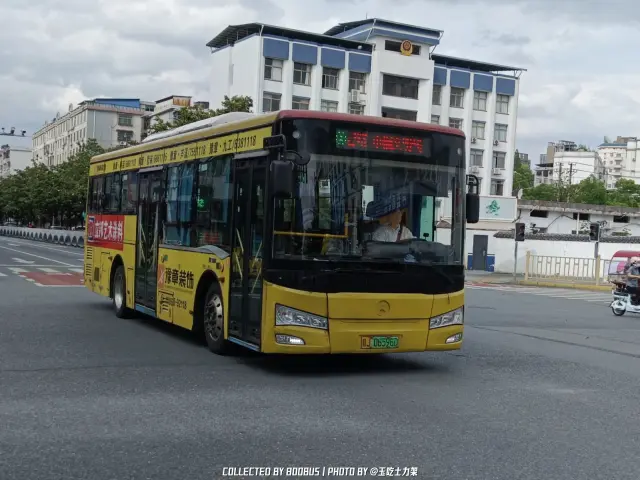 赣J 06596D