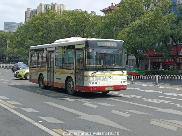 赣J 08167D
