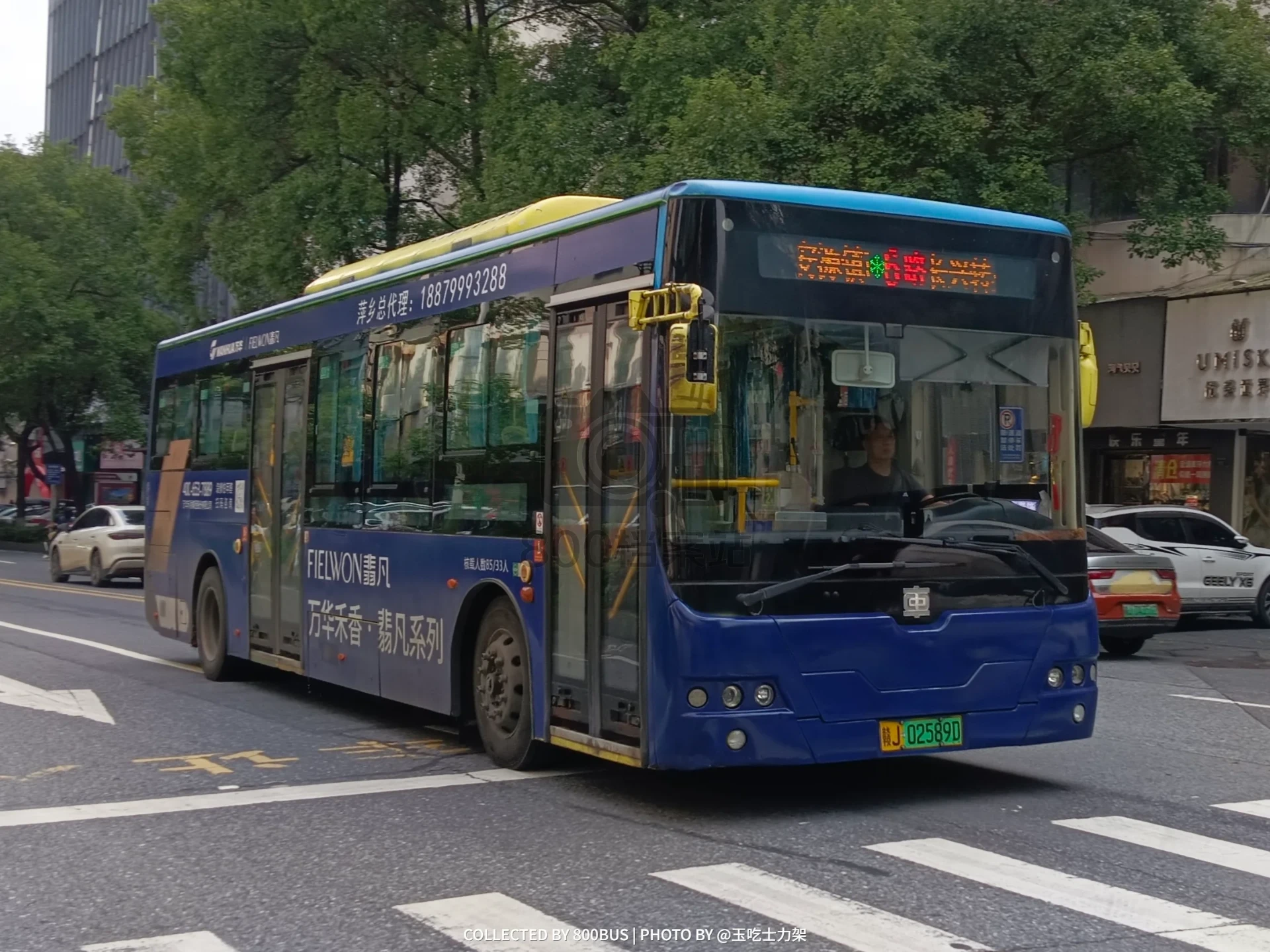 Bus Archive