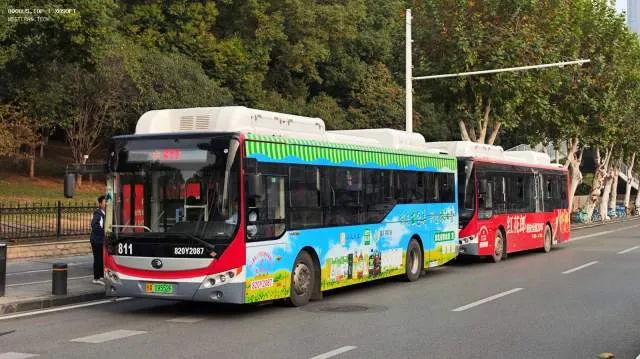 820Y2067