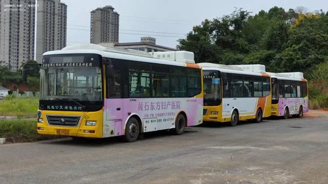 鄂B 19262