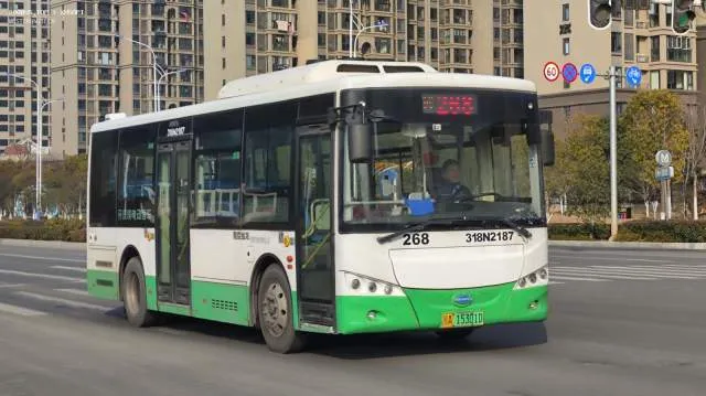 鄂A 15301D