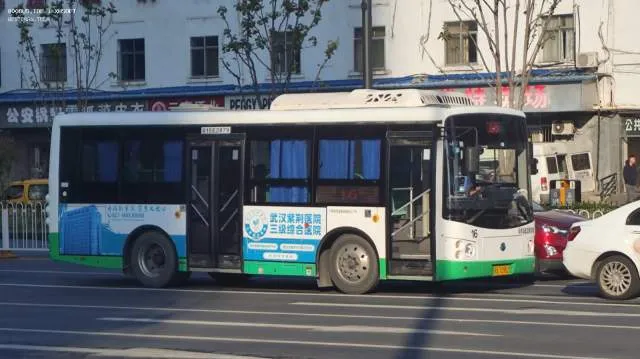 鄂A 709BZ