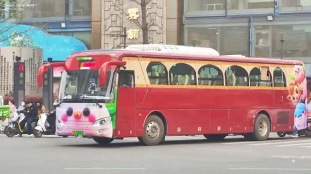 800BUS