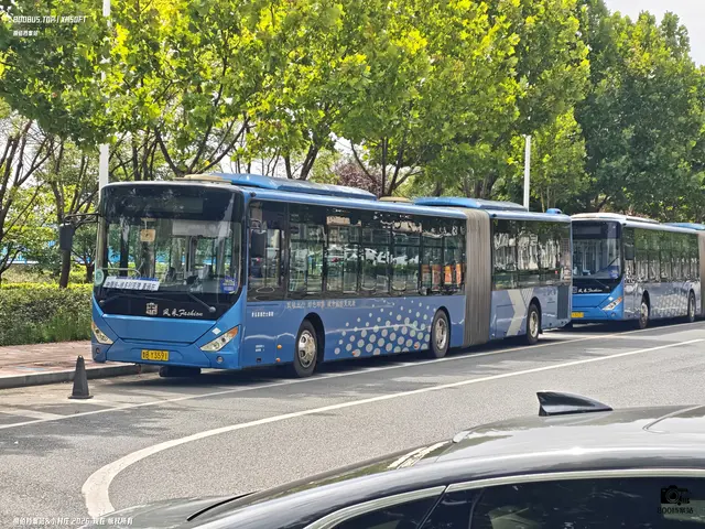 鲁B Y3591