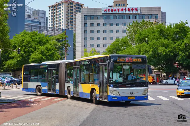 800BUS