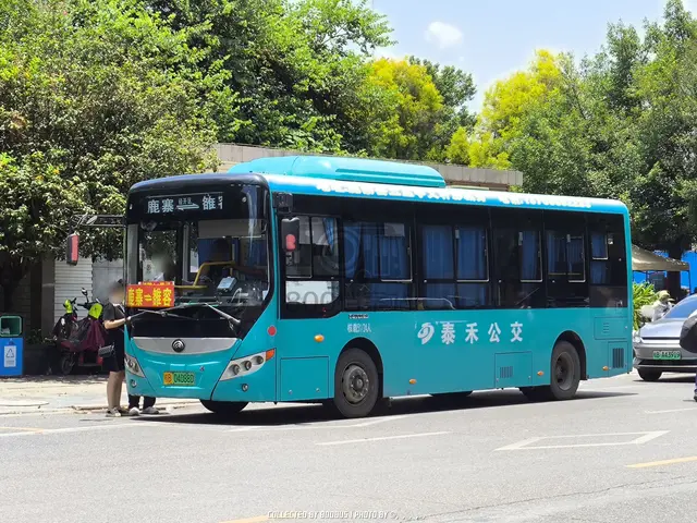 800BUS