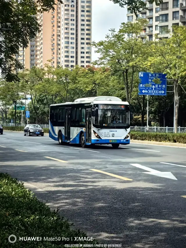 沪A 02166D