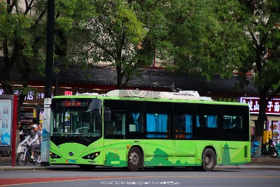 陕A 03166D