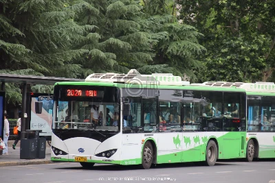 陕A 6733X