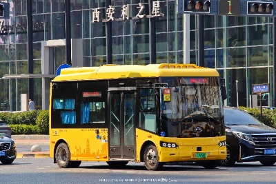 陕A 09956D