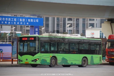 陕A T8605