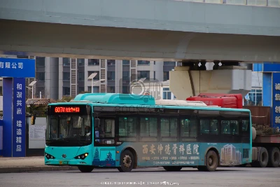 陕A 02653D