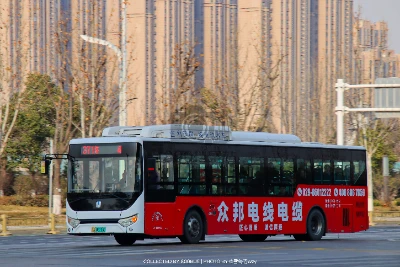陕A 06335D